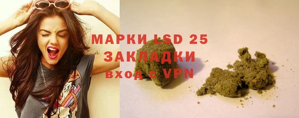 прущие грибы Семилуки