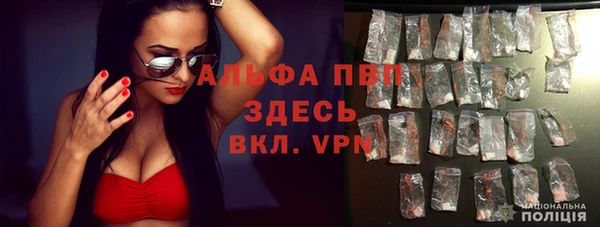 прущие грибы Семилуки
