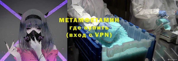 прущие грибы Семилуки