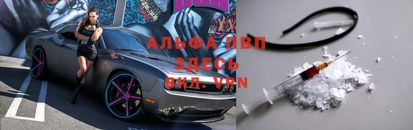 прущие грибы Семилуки