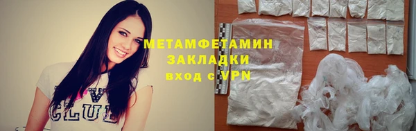 прущие грибы Семилуки
