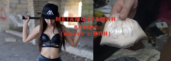 прущие грибы Семилуки
