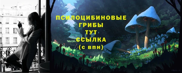 прущие грибы Семилуки