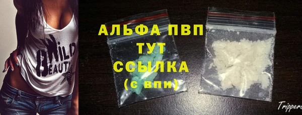 прущие грибы Семилуки