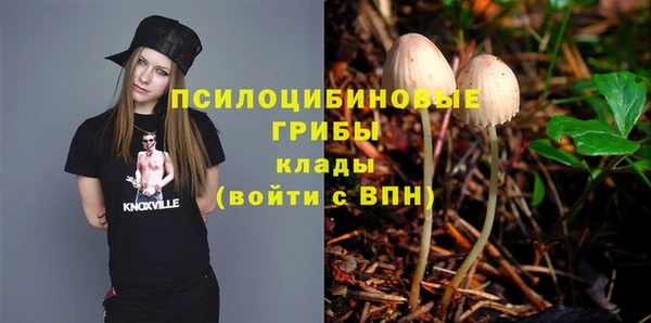 прущие грибы Семилуки